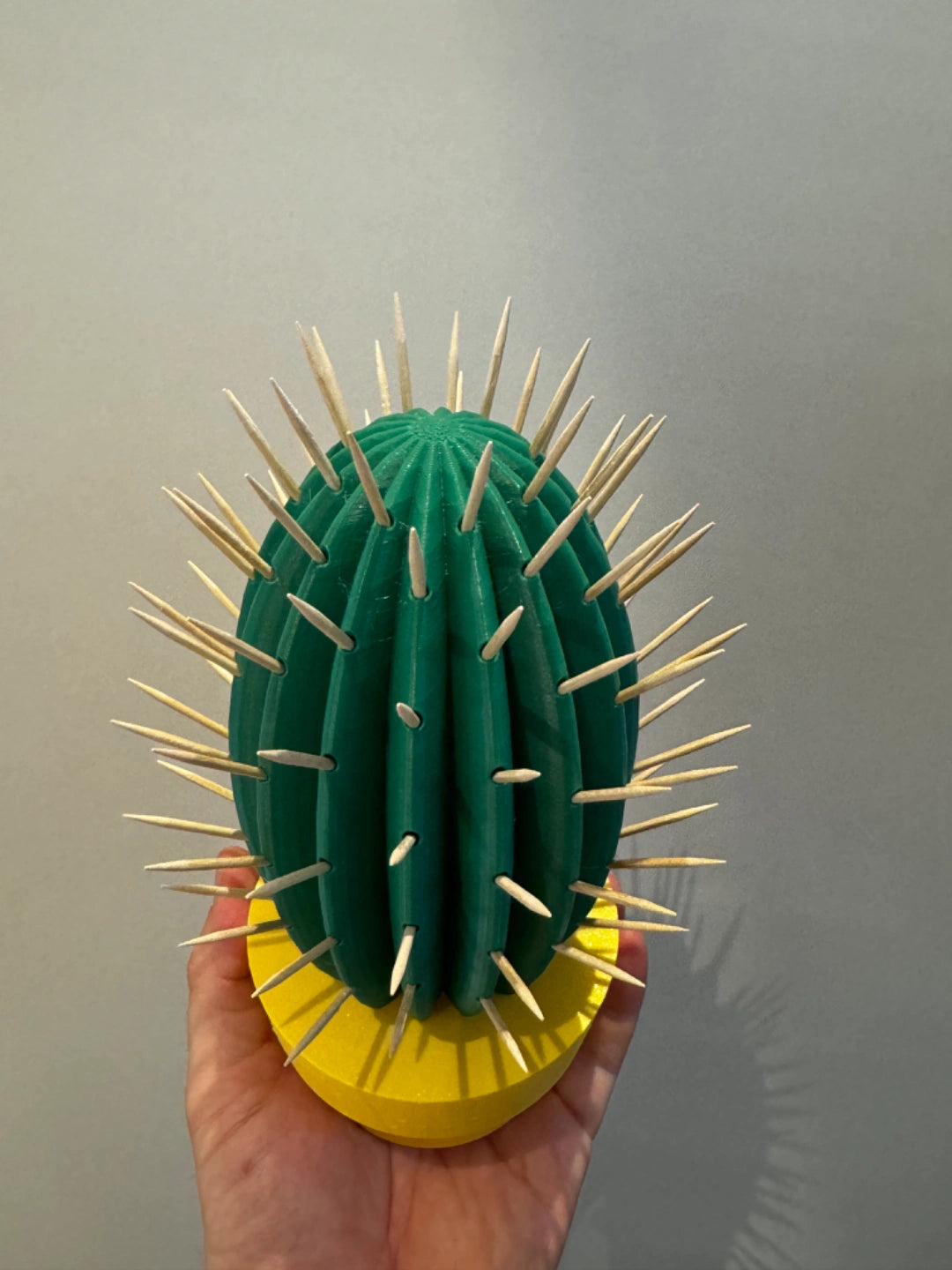 Cactus Toothpick Holder | itsgoodgift